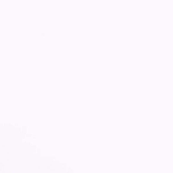 Fabric cotton plain white 150cm - per meter